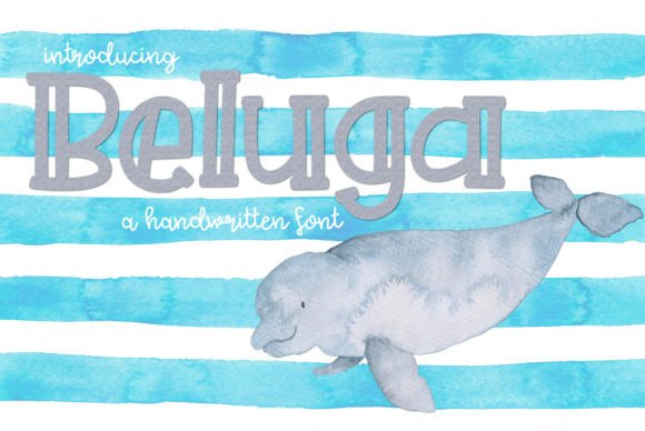 Beluga: A Designer's Honest Review for Real-World Projects