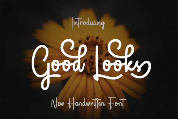 Good Looks: The Bold Script Font That Elevates Every Campaign